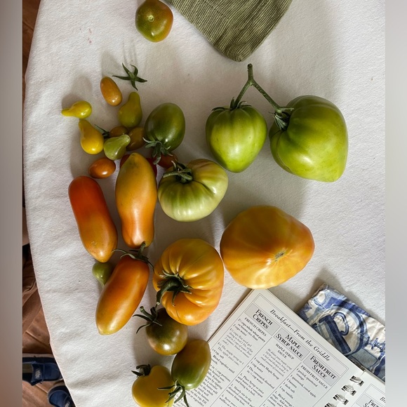 Meet your Posher, Abigail - Picture 4 of 6